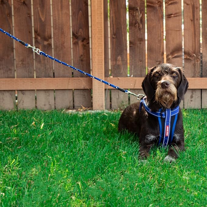 EzyDog Standard 24-Inch Rope Dog Leash Extension - 24”, Black | Reflective Trim for Nighttime Safety, Add 2 for Walking 2 Dogs Tangle Free with Our Cujo Leashes