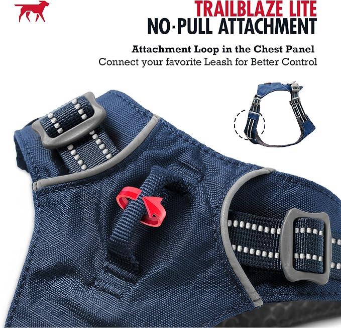 Tuff Pupper All-Day Wear Dog Harness | for Walking, Trail Running, Hiking | Front & Back Leash Clips | Reflective Trim | Easy On/Off Buckles | Lightweight Breathable | No Pull Design (XXXS, Blue)