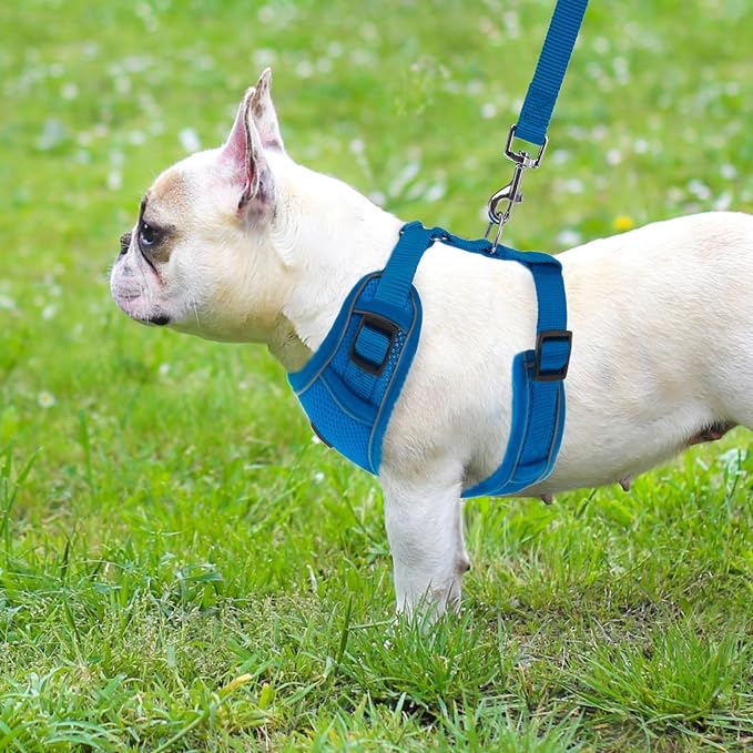 PUPTECK Small Dog Harness and Leash Set, No Pull Adjustable Puppy Cat Harness, Reflective Soft Mesh Pet Vest Small Sized, Blue, XS