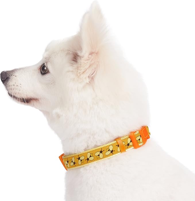 Blueberry Pet Essentials 10 Patterns Statement Busy Bees Designer Adjustable Dog Collar, Medium, Neck 14.5"-20"