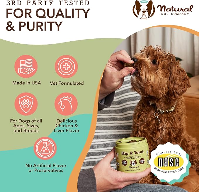 Natural Dog Company Hip & Joint and Probiotic Chews for Dogs Bundle: Glucosamine & Probiotics - Joint Support and Digestive Health Combo for Dogs of All Breeds and Sizes