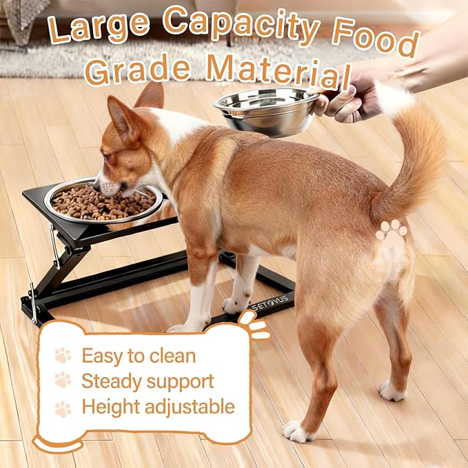 Elevated Dog Bowls, Adjustable Raised Dog Bowl Stand with 2 Stainless Steel Food Bowls 20°Tilted Water Bowls for Small Sized Dogs and Cats (Black, Small)