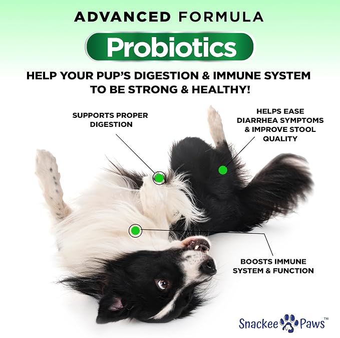 Probiotics for Dogs and Digestive Enzymes - Approx 160 Dog Probiotics Chews - Dog Probiotic - Anti Diarrhea, Upset Stomach & Gas Relief, Canine Prebiotic - Pet Fiber Supplement - Chicken Flavor