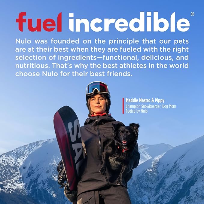 Nulo Functional Granola Bars, Healthy Dog Treats, Oven Baked, Made with Prebiotics and Probiotics, Contains No Added Salt, Sugar, or Molasses, 10 Ounce Bag