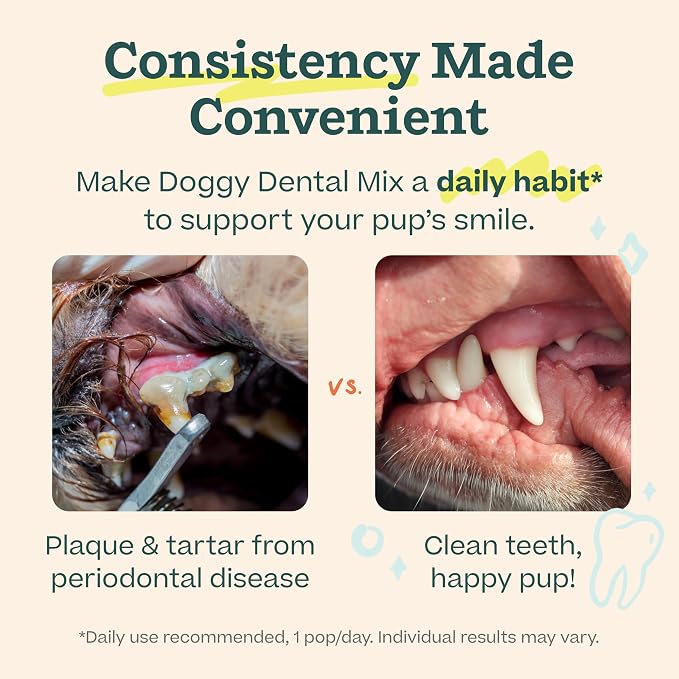 Woof Doggy Dental Pupsicle Mix - Dog Teeth Cleaning Powder for the Pupsicle - Long Lasting Postbiotic Dental Enzyme Mix to Support Oral Health for Dogs