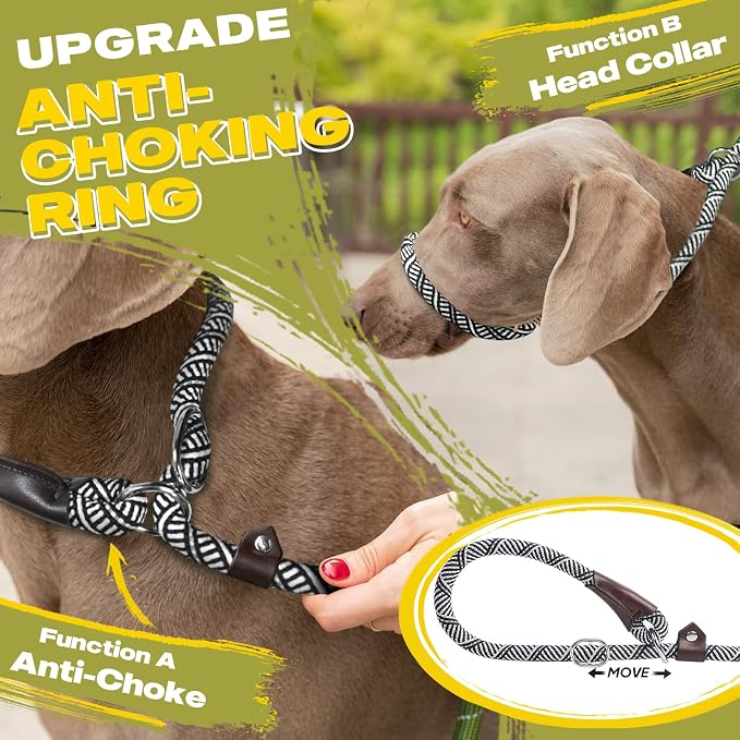 Fida Durable Slip Lead Dog Leash, 6 FT x 3/8" Heavy Duty Comfortable Strong Rope Slip Lead for Small Dogs and Puppies, No Pull Pet Training Leash with Highly Reflective(3/8", Grey)