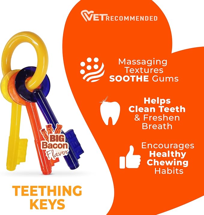 Nylabone Puppy Chew Teething Key Ring Dog Chew Toy, Bacon Flavor, Small | Medium breeds, soothing teething toys for puppies, puppy enrichment, freeze for added comfort, for puppies up to 35 lbs