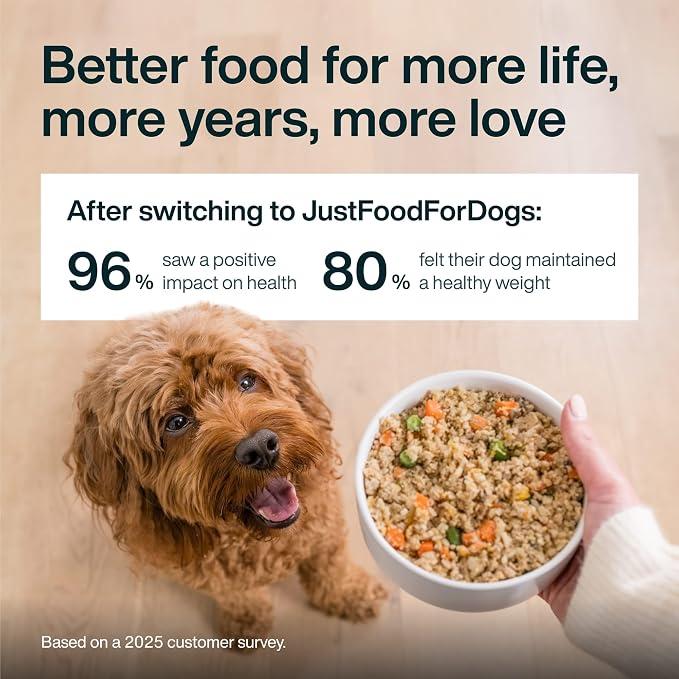 JustFoodForDogs JustFresh Wet Dog Food - Home-Cooked Beef & Chicken, 12oz (8-Pack)