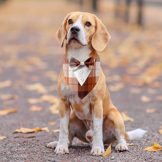 Fall Dog Tuxedo Bandana, X-Small, Small, Orange