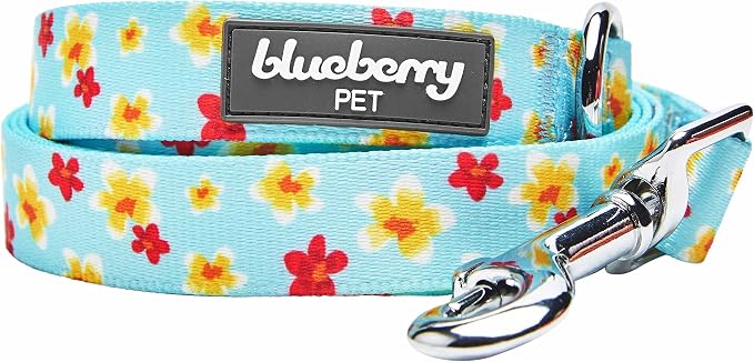 Blueberry Pet Fragrant Plumeria Dog Leash, Aqua, 5 ft x 5/8", Small, Leashes for Dogs
