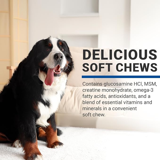 VPS SynovialMax Hip & Joint Soft Chews for Dogs - 240 count