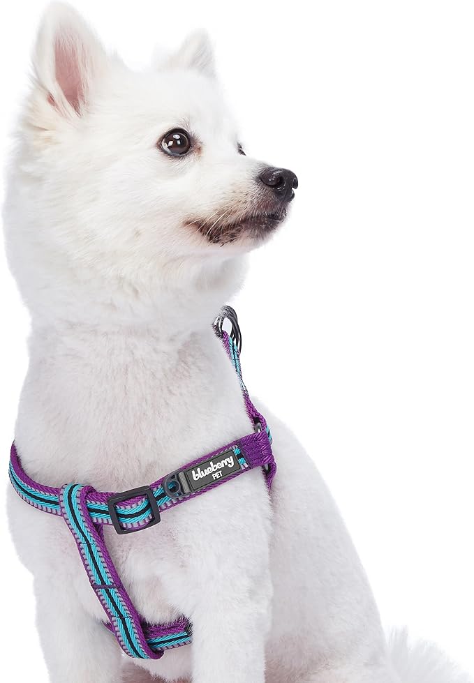 Blueberry Pet 5 Colors Step-in 3M Reflective Multi-Colored Stripe Padded Dog Harness, Chest Girth 16.5" - 21.5", Violet & River Blue, Small, Adjustable Harnesses for Dogs