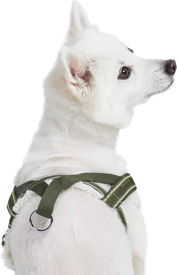 Blueberry Pet Soft & Comfy Multi-Colored Stripe Fleece Padded Chest Dog Harness, Chest Girth 16.5" - 21", Olive Green, Small, Adjustable No Pull Training Harness for Dogs