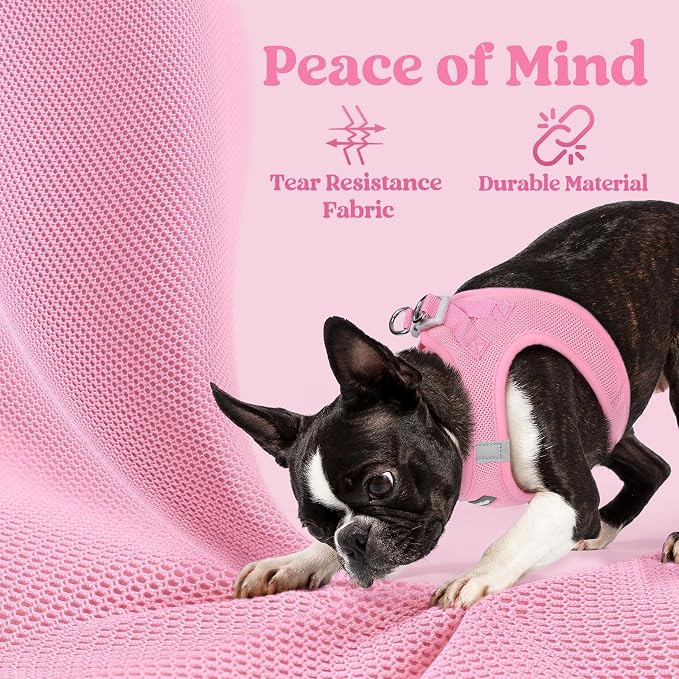 rabbitgoo Step-in Small Dog Harness, Puppy Vest for Small Sized Pet | Easy Put on and off, Lightweight, Soft, Breathable Quick-Dry Air Mesh for Comfortable Secure Walking, Light Pink M