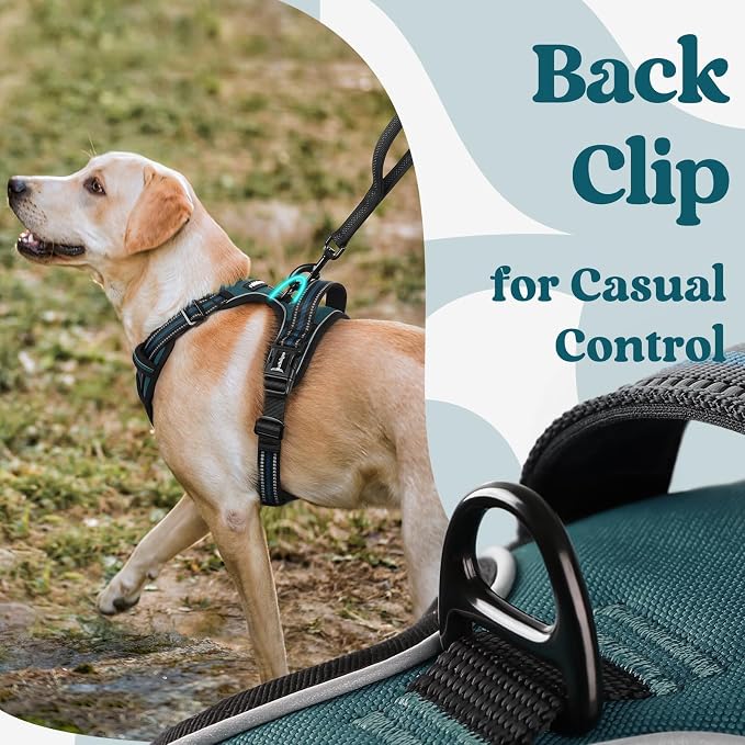 rabbitgoo Dog Harness for Large, Updated Easy On & Off with 3 Buckles | No Pull No Choke, Walking with 2 Clips and Handle, Adjustable Soft Reflective, Blue Coral, Large