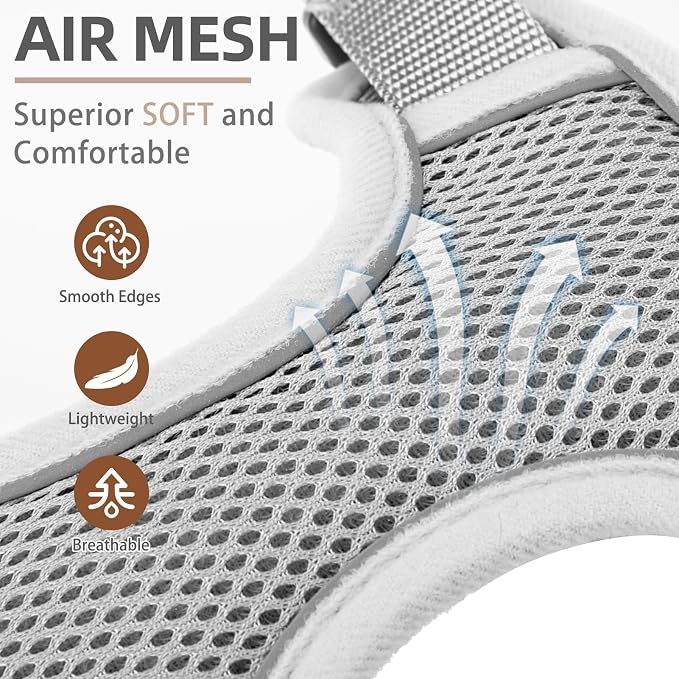 PUPTECK Dog Harness and Leash Set, No Pull Adjustable Pet Small Dog Harness, Reflective Soft Mesh Pet Vest, for Small Medium Dogs Walking, Grey, XS
