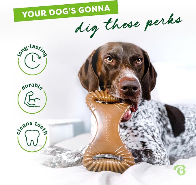 Benebone Dental Durable Dog Chew Toy for Aggressive Chewers, Real Peanut, Made in USA, Medium