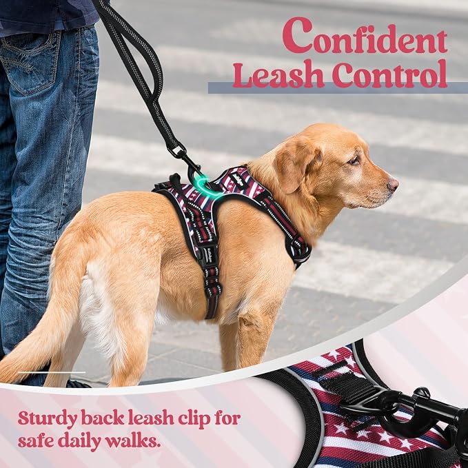 rabbitgoo Dog Harness, No Pull for Small Dogs with 2 Leash Clips, Pet Vest | No Choke with Handle, Adjustable Soft Padded, Reflective, Easy Control for Walking, Red Stripe, Small