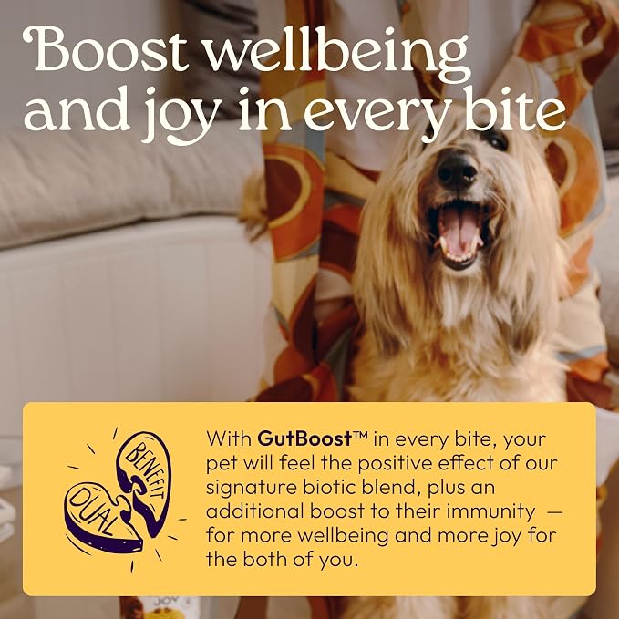 WellJoy Immune Dog Supplement + Vitamin E, Astaxanthin, GutBoost, 90ct