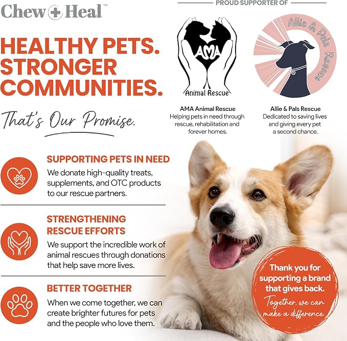 Organic Pumpkin Powder for Dogs, 4 oz w/ 5 cc Scoop for Digestive Support