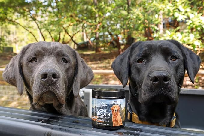 Bone Broth for Dogs – Grass-Fed Beef Protein Powder with Medicinal Mushrooms – Supports Hips, Joints, Digestion & Immunity – All-Natural Food Topper – 60 Servings (3 oz, 83 Grams)
