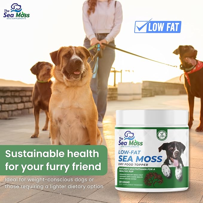 The Sea Moss Low-Fat Dog Supplement Powder, Dry Food Topper - Multivitamin Supports Skin, Coat, Joints, Digestion & Immune Health - Vitamins & Minerals – All Breeds & Sizes - 125 Grams