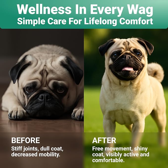 WuffWell Joint Supplement for Dogs with Collagen & Glucosamine - USA Made