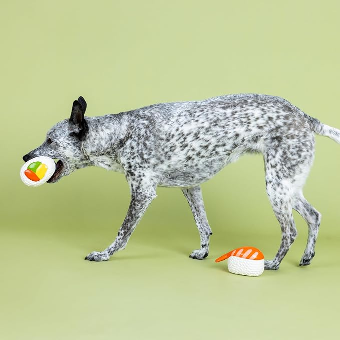 Fringe Studio SOYMATES, Set of 2, Latex Dog Toy Sets, Approx 6" x 2.75", Pet Shop Collection (368019)