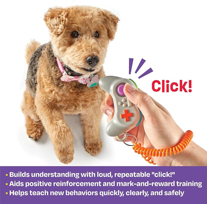 Brightkins Gamepad Training Clicker