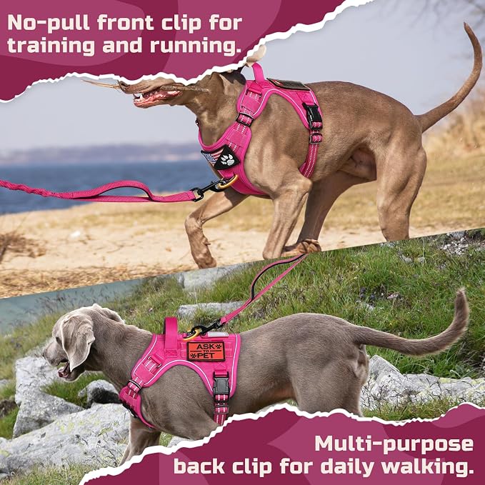 rabbitgoo Tactical Dog Harness for Medium, No Pull Military Service Vest | Molle & Handle, Heavy Duty, Adjustable, Reflective Straps, Easy Control for Training Walking, Rose Red, Medium