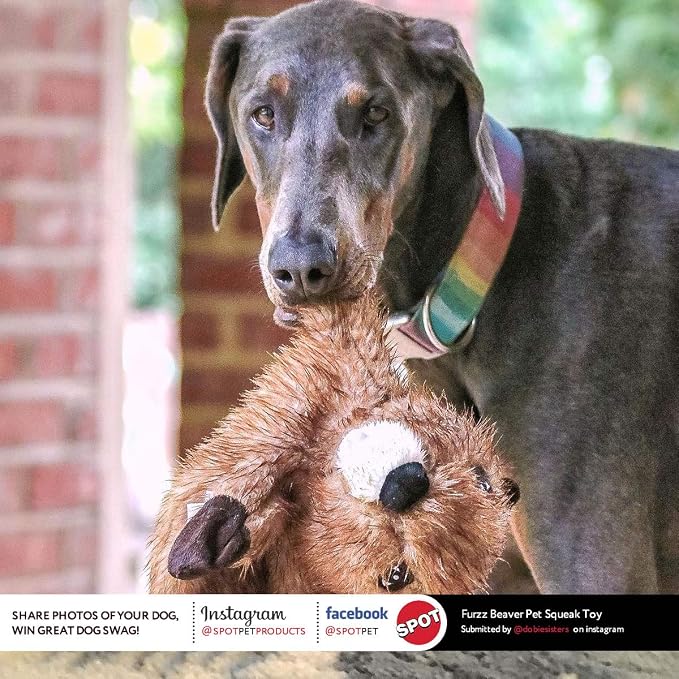 SPOT Ethical Pets 54333 Furzz Beaver Pet Squeak Toys