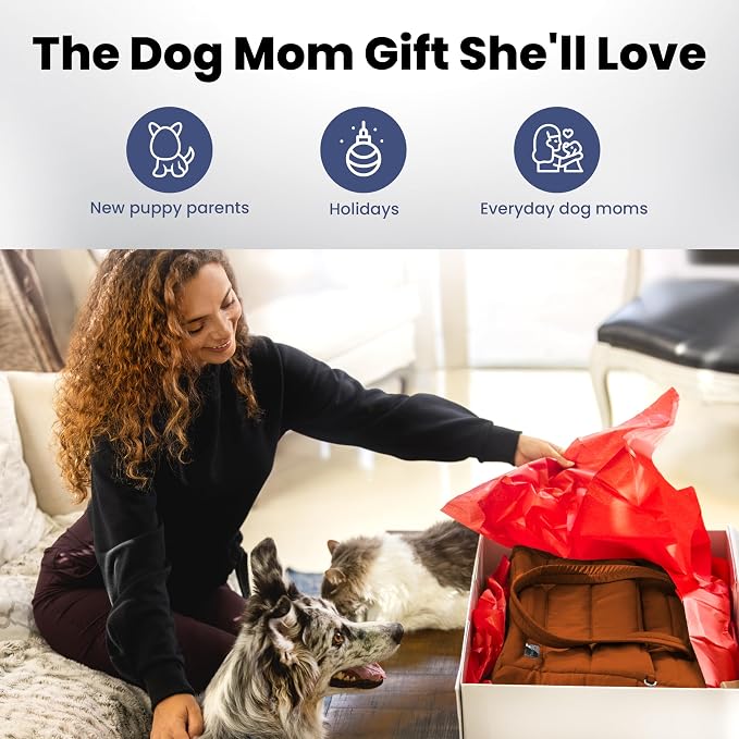 rubyloo Puffer Dog Travel Bag with Bowls & Food Storage, Rust