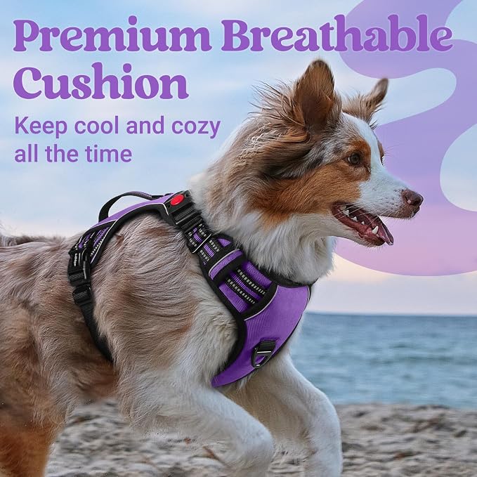 rabbitgoo Large Dog Harness, Easy Wear with 3 Buckles and Lift Handle | No Pull with Front Clip for Walking, Adjustable Soft Padded, Reflective, Easy Control, Purple, Small