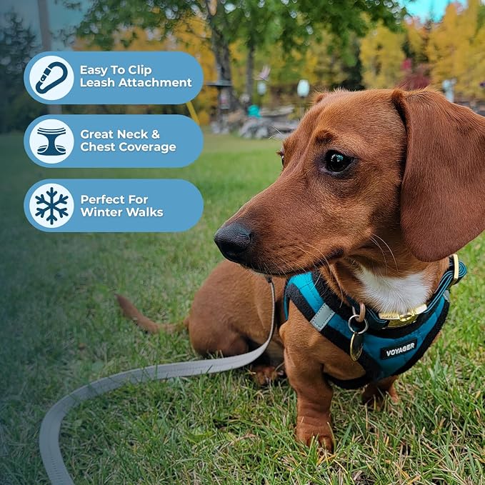 Best Pet Supplies Voyager Step-in Plush Dog Harness - Soft, Step in Vest Harness and Reflective Dog 5 ft Leash Combo with Neoprene Handle for Small and Medium Dogs, Turquoise Plush, S