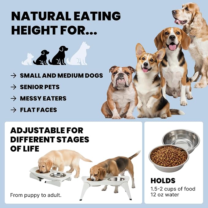 MalsiPree Elevated Dog Bowls for Small Dogs - 6.5" Raised Dog Bowl Stand with Splash Guard - Portable Folding Pet Feeding Station with 2 Stainless Steel Bowls - Travel Road Trip Foldable Collapsible