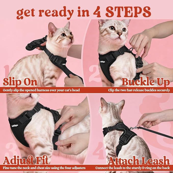 rabbitgoo Cat Harness and Leash Set, Escape Proof Vest, Black | Soft Breathable Mesh, Easy Adjustable Fit, Snap Buckles, Sturdy Clip, Reflective Strips, for Kittens & Small Cats Walks, Xxs