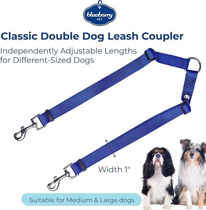 Blueberry Pet Essentials Durable Classic Double Dog Leash Coupler, Royal Blue, Medium/Large, Dual Walking & Training Leashes for Two Dogs