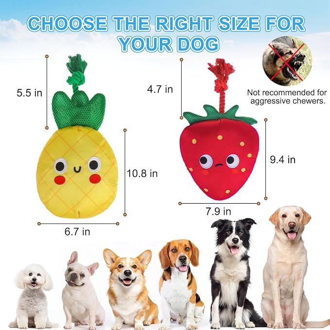 BEAUTYZOO Floating Dog Pool Toys, 2-Pack, Strawberry & Pineapple