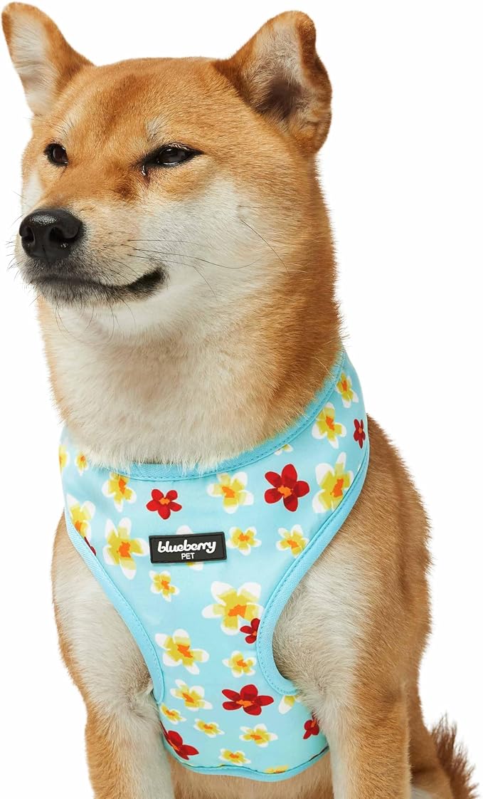 Blueberry Pet Soft & Comfy Fragrant Plumeria Dog Harness Vest, Aqua, Chest Girth 19.5" - 26", Medium, Adjustable Harnesses for Dogs