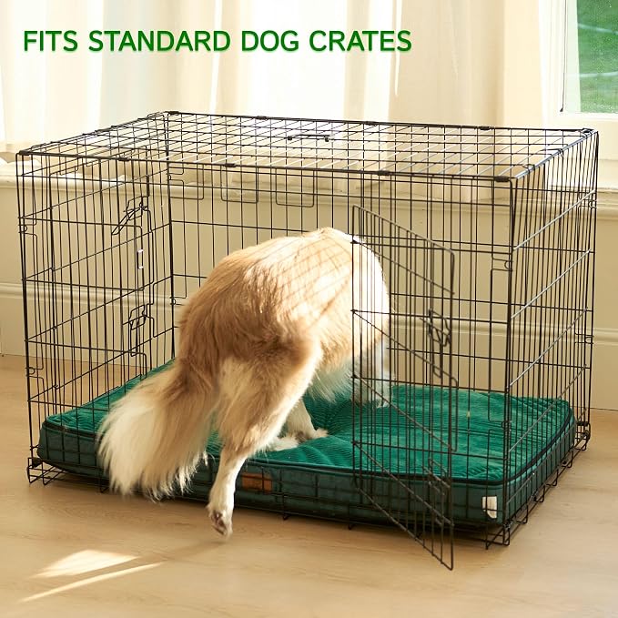 LIORCE Orthopedic Memory Foam XL Dog Bed - 4in Thick, Green