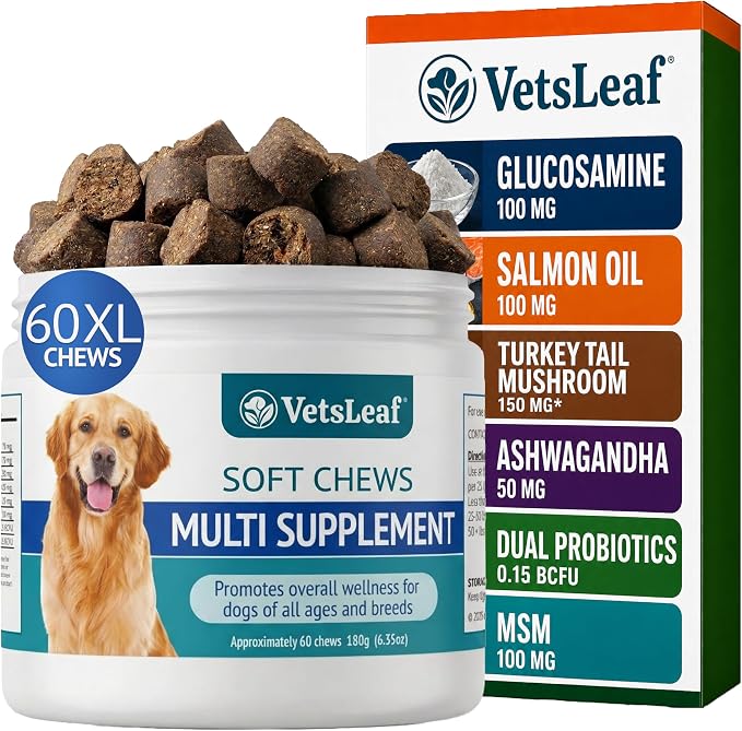 Dog Multivitamin Chews - Glucosamine, Probiotics, Salmon Oil, Mushroom Blend & Ashwagandha - Daily Dog Vitamins for Immune, Joint, Skin, Gut and Energy Support - Made in USA - 60 Count