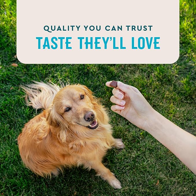 VetIQ Max Strength Hip & Joint Chews for Dogs, 90ct | Extra-strength joint support for senior & large breeds; glucosamine, MSM & krill oil; chicken flavor; daily chew
