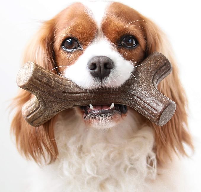 Benebone Fishbone and Maplestick Durable Dog Chews | Made in USA