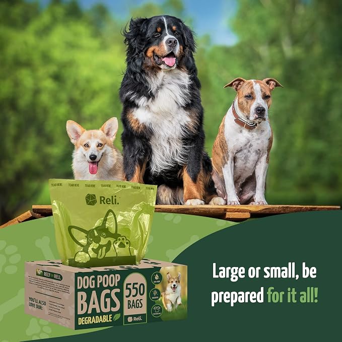Reli. Biodegradable Dog Poop Bags (550 Count, Bulk) (Large Single Roll - Dispenser Box) | 9x13" Large Dog Bags for Poop | Green, Eco-Friendly | Oxobiodegradable Pet Waste Disposal | Unscented