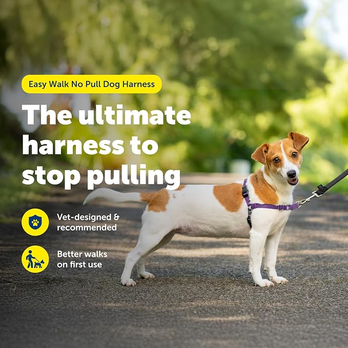 PetSafe Easy Walk Harness for Dogs - Pull-Free Walks - Patented Martingale Loop Design - Front Chest Leash Attachment - Comfort Straps - Breathable Harness Design - Small, Deep Purple/Black