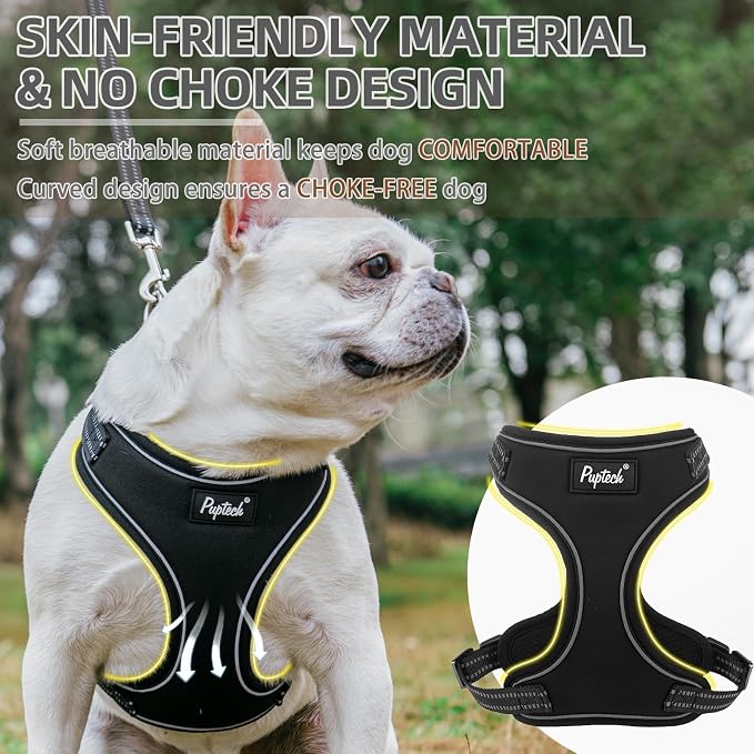 PUPTECK Dog Harness and Leash Set Small Sized, Adjustable Reflective Escape Proof Puppy Vest, No Pull Walking Harness Easy Control