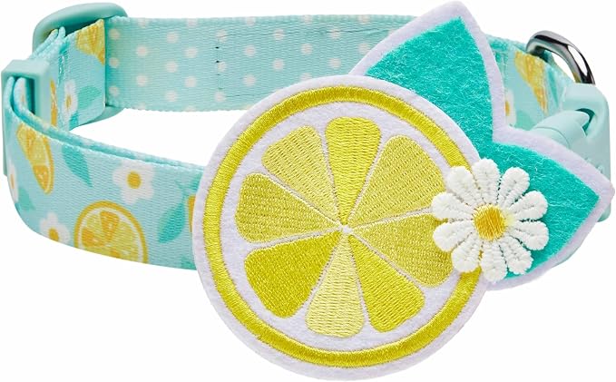 Blueberry Pet Zesty Fruit Dog Collar, Adjustable Small Size, Neck 12”-16”, Refreshing Lemon Print, Summer Citrus Pet Collar