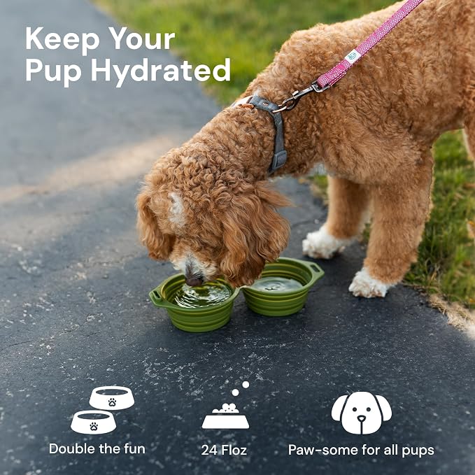 Pup Culture Dual Collapsible Dog Bowls | Silicone Travel Water Bowl for Dogs | Food Grade, No Plastic Rim, Portable Dog Bowl for Food and Water - Easy to Clean | BPA Free and Safe for Your Pup-Orange