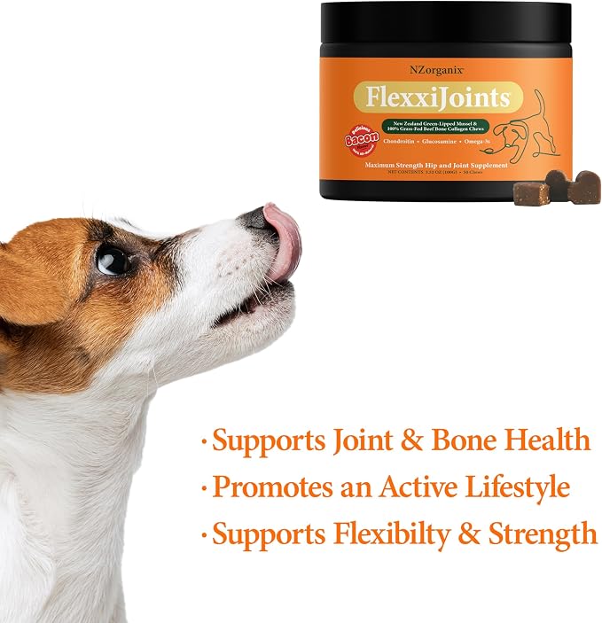 NZorganix FlexxiJoints Hip and Joint Supplement Chews for Dogs, Cats • 100% Grass-Fed Beef Bone Collagen New Zealand Green-Lipped Mussels • 200 Chews 2-Pack
