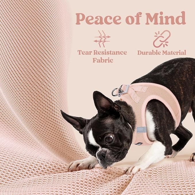rabbitgoo Step-in Small Dog Harness, Puppy Vest for Small Medium Sized Pet | Easy Put on and off, Lightweight, Soft, Breathable Quick-Dry Air Mesh for Comfortable Secure Walking, Pink XL